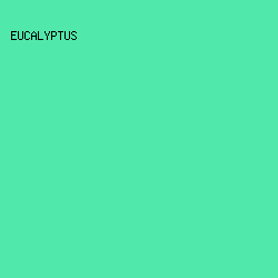 51E8AB - Eucalyptus color image preview