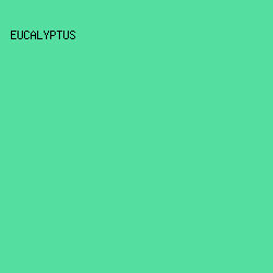 54DE9F - Eucalyptus color image preview
