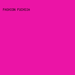 EB14A6 - Fashion Fuchsia color image preview