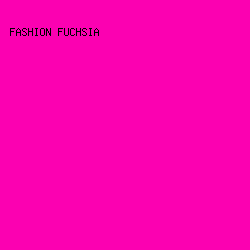 FB01B1 - Fashion Fuchsia color image preview