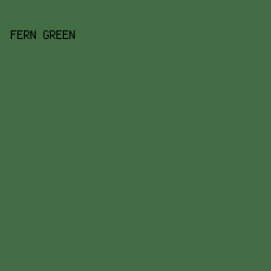436D45 - Fern Green color image preview