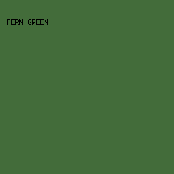 436c3a - Fern Green color image preview