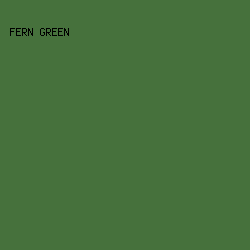46713C - Fern Green color image preview