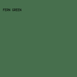 476F4D - Fern Green color image preview