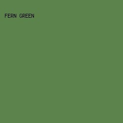 5b834b - Fern Green color image preview
