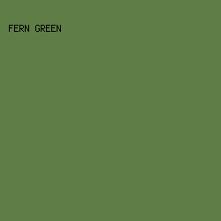 5e7e46 - Fern Green color image preview