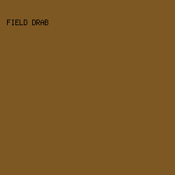 7E5823 - Field Drab color image preview