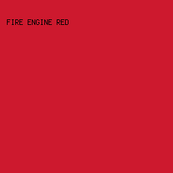 cd192e - Fire Engine Red color image preview
