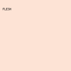 FDE3D5 - Flesh color image preview