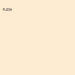 FDECD2 - Flesh color image preview