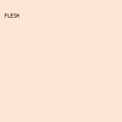 FEE6D4 - Flesh color image preview