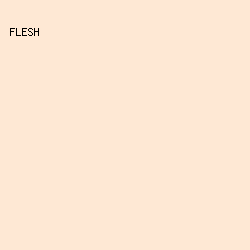 FEE8D4 - Flesh color image preview