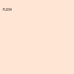 FFE6D4 - Flesh color image preview
