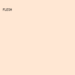 FFE7D3 - Flesh color image preview