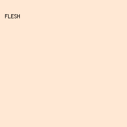 FFE8D4 - Flesh color image preview