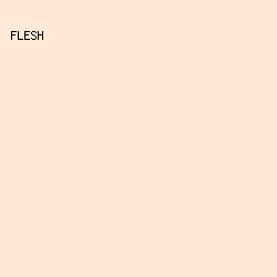 FFE8D6 - Flesh color image preview