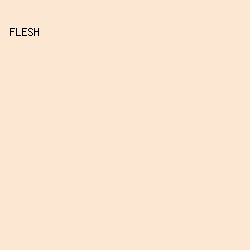 fbe7d2 - Flesh color image preview