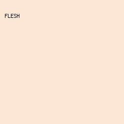 fbe7d3 - Flesh color image preview