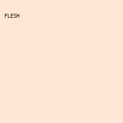 fee7d4 - Flesh color image preview
