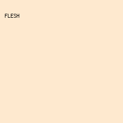 fee9cf - Flesh color image preview