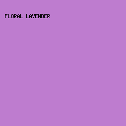 BE7CCF - Floral Lavender color image preview