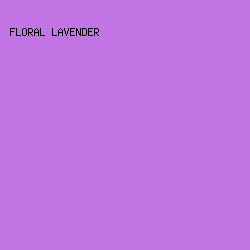 C274E4 - Floral Lavender color image preview
