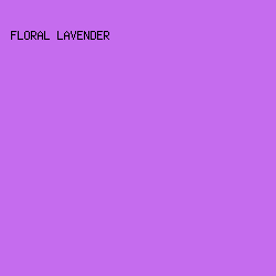 C56CEE - Floral Lavender color image preview