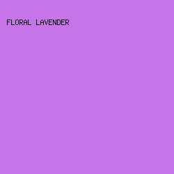 C675E8 - Floral Lavender color image preview