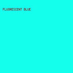 14FFEC - Fluorescent Blue color image preview