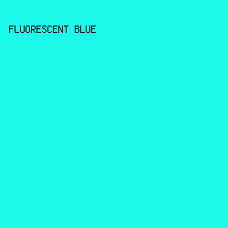 1CFCE9 - Fluorescent Blue color image preview