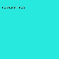 27E9DD - Fluorescent Blue color image preview