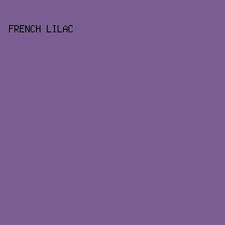 7B5E91 - French Lilac color image preview