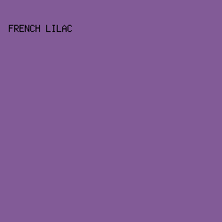 825B97 - French Lilac color image preview