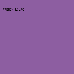 8D5EA1 - French Lilac color image preview