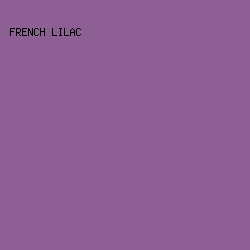 8D5F94 - French Lilac color image preview