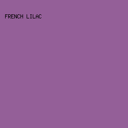 945f98 - French Lilac color image preview