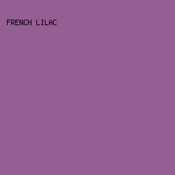 955E94 - French Lilac color image preview