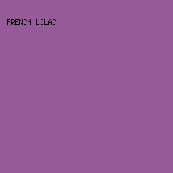 955a97 - French Lilac color image preview