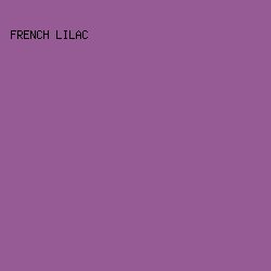 965B95 - French Lilac color image preview