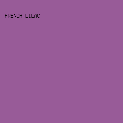 985b98 - French Lilac color image preview