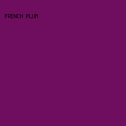6F0E5F - French Plum color image preview