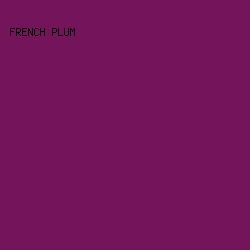 74155c - French Plum color image preview