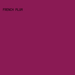 8A1A54 - French Plum color image preview