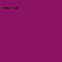 8B1465 - French Plum color image preview