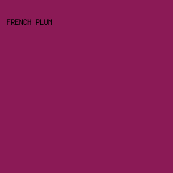 8B1A56 - French Plum color image preview