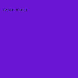 6B15D4 - French Violet color image preview