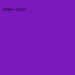 7C18BD - French Violet color image preview
