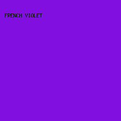 8110E0 - French Violet color image preview