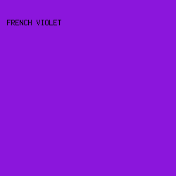 8B16DC - French Violet color image preview