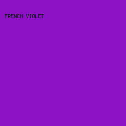 8D12C6 - French Violet color image preview